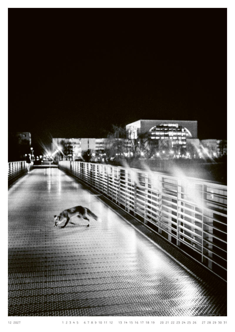 Calendar 2027 BERLIN AFTER DARK - Image 13